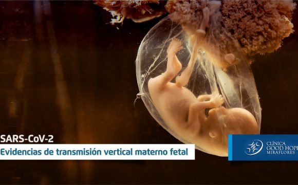 SARS-CoV-2: Evidencias de transmisión vertical materno fetal