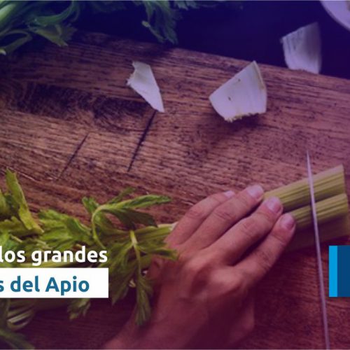 Beneficios del apio para la salud