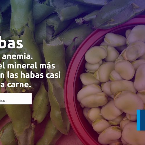 Las habas previenen la anemia