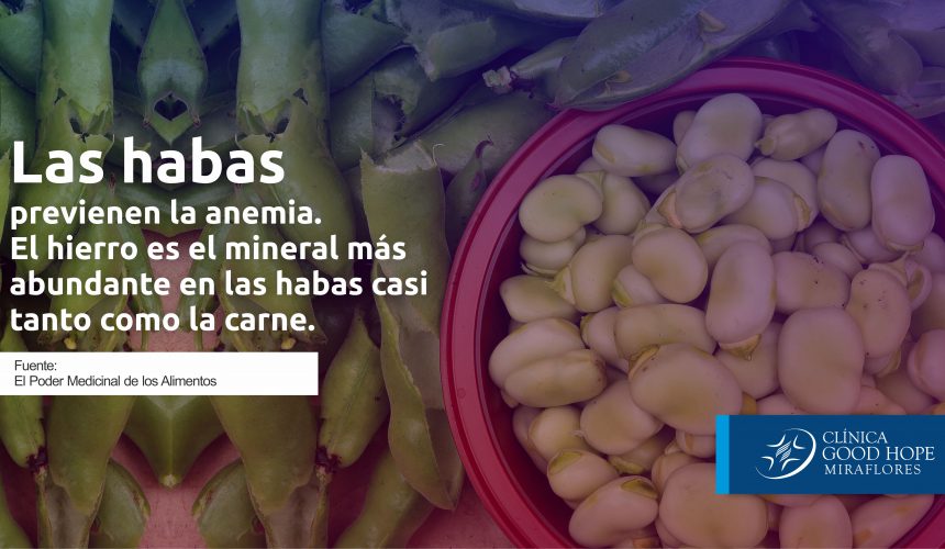 Habas web Las habas previenen la anemia